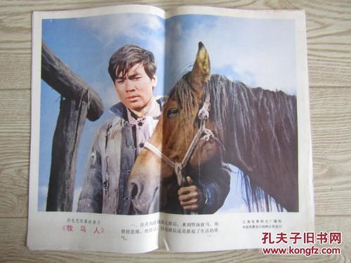 购买假的恒丰银行转账支票